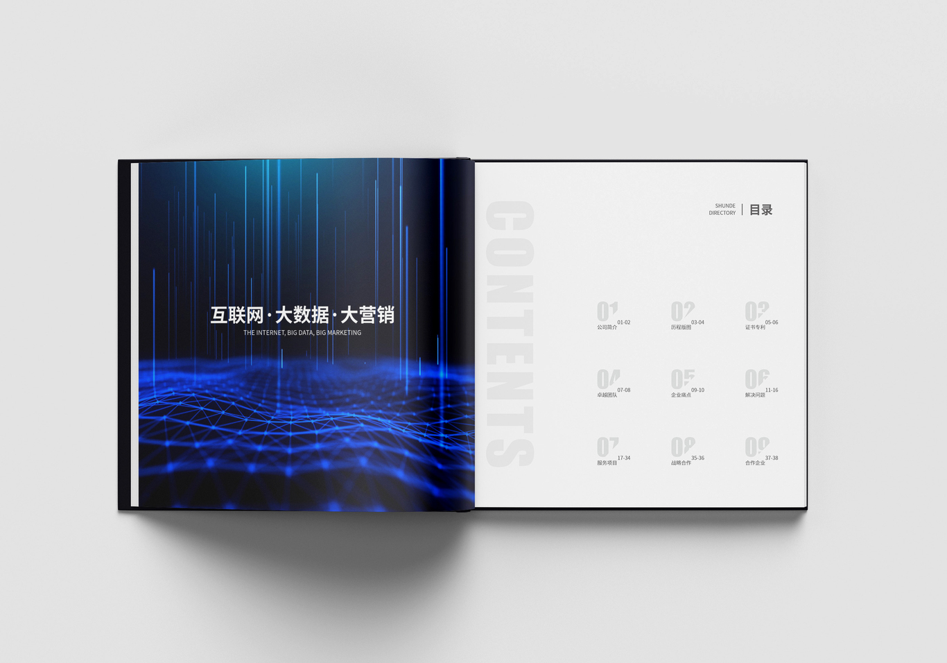 顺的网络品牌画册图2