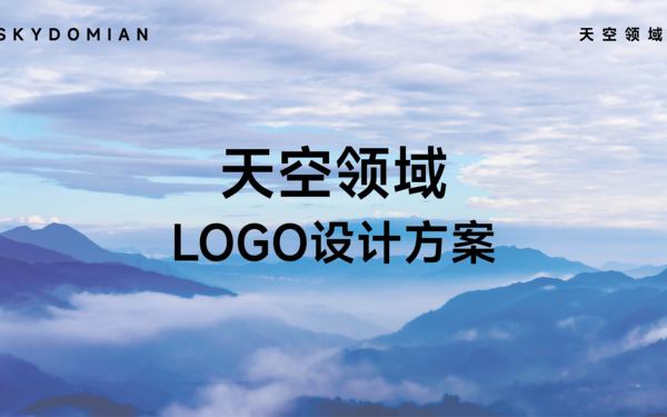 “天空領(lǐng)域”LOGO設(shè)計(jì)