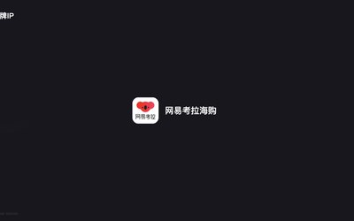 网易（阿里）考拉海购品牌IP设计