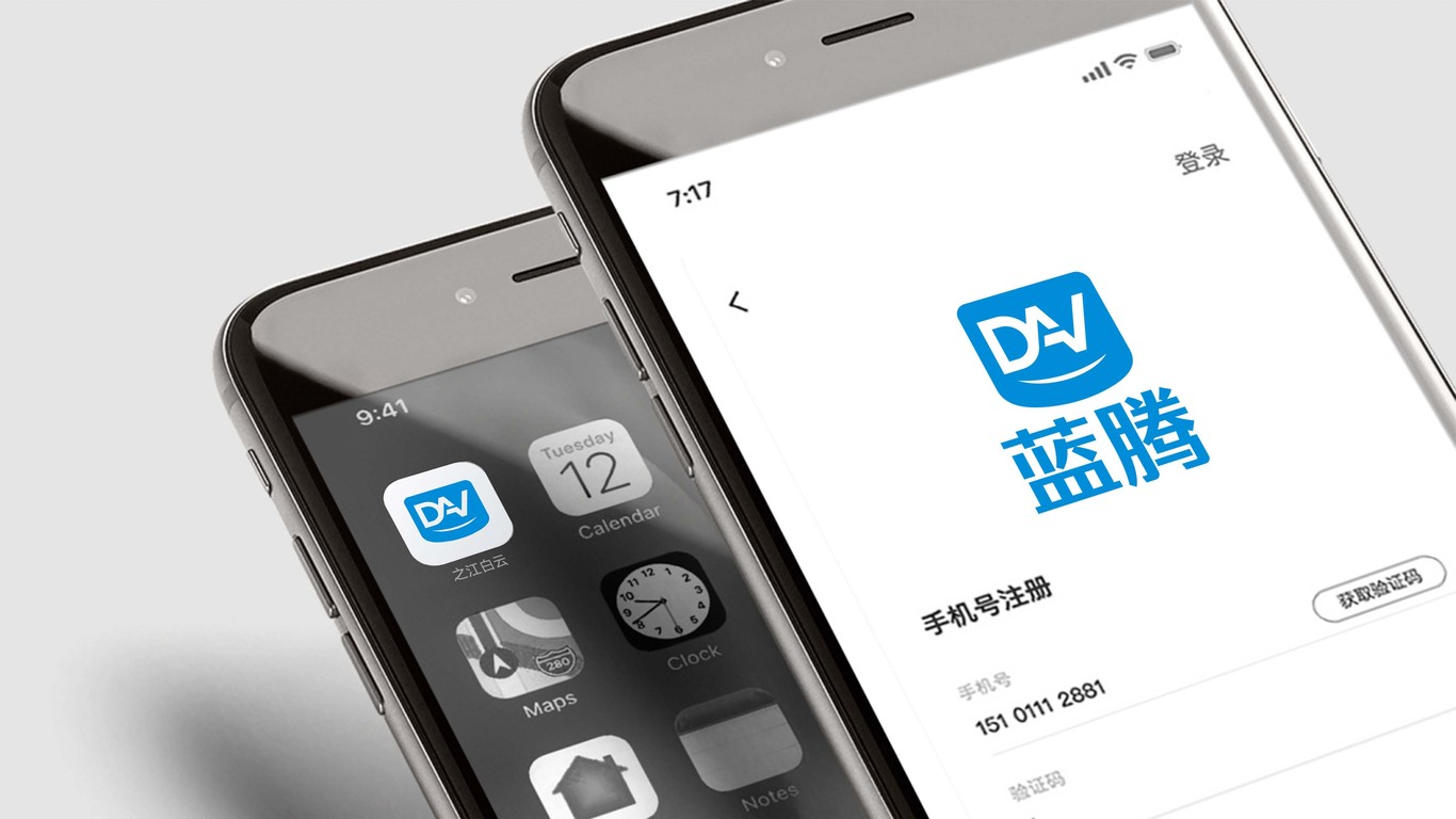 DAV(藍騰)醫(yī)藥行業(yè)LOGO設計中標圖8