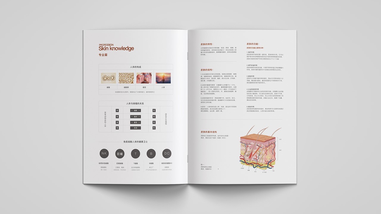 珺修品牌手冊設(shè)計圖6