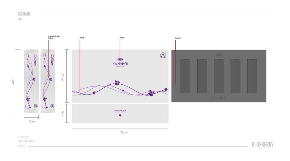 藍(lán)莓包裝圖2