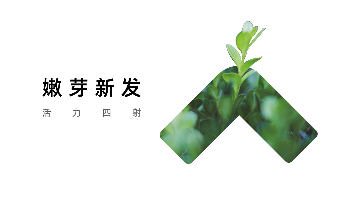 长南桂德LOGO设计图1