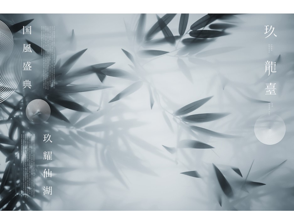 龍光地產(chǎn)·玖龍臺 品牌視覺(jué)識別系統圖0
