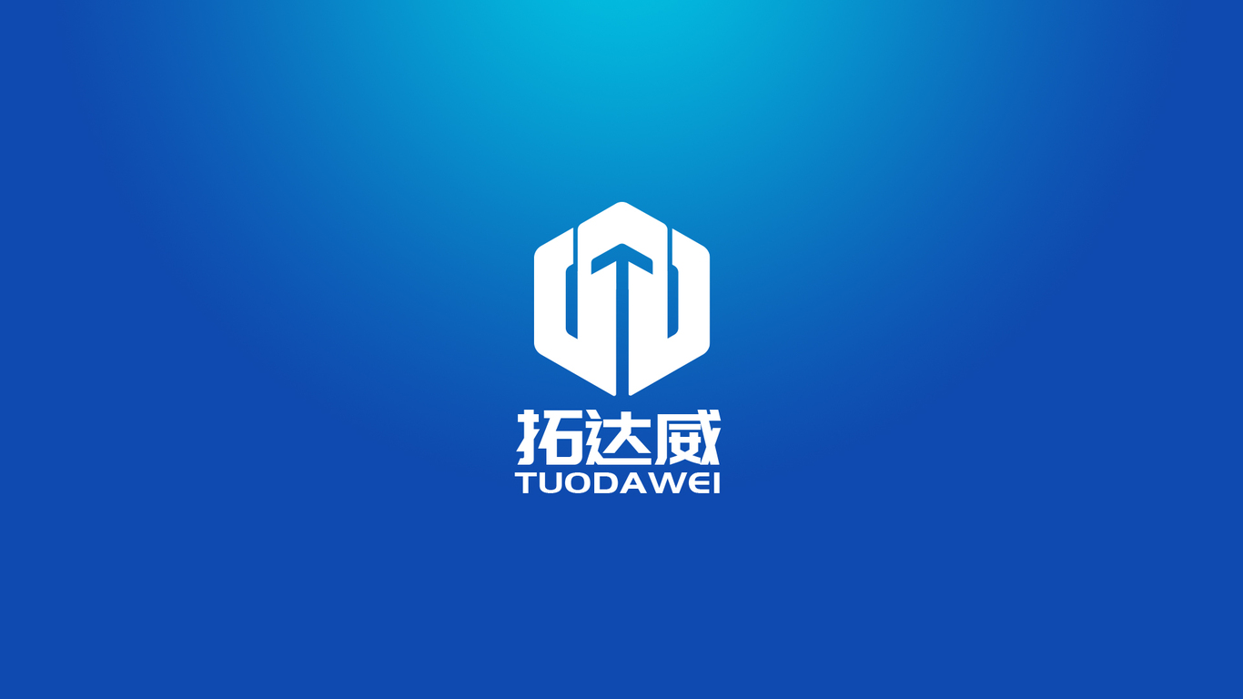 拓達(dá)威科技類LOGO設(shè)計(jì)中標(biāo)圖0