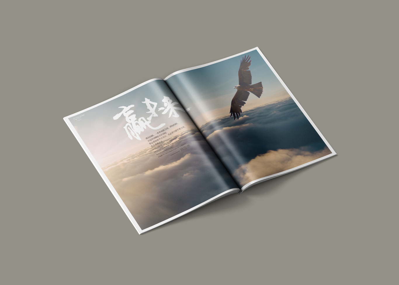 家紡畫冊(cè)圖1