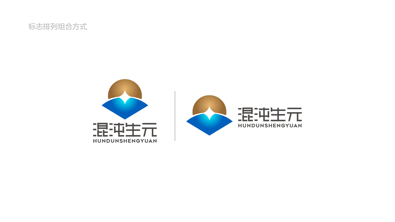 混沌生元投資金融品牌LOGO設計中標圖6