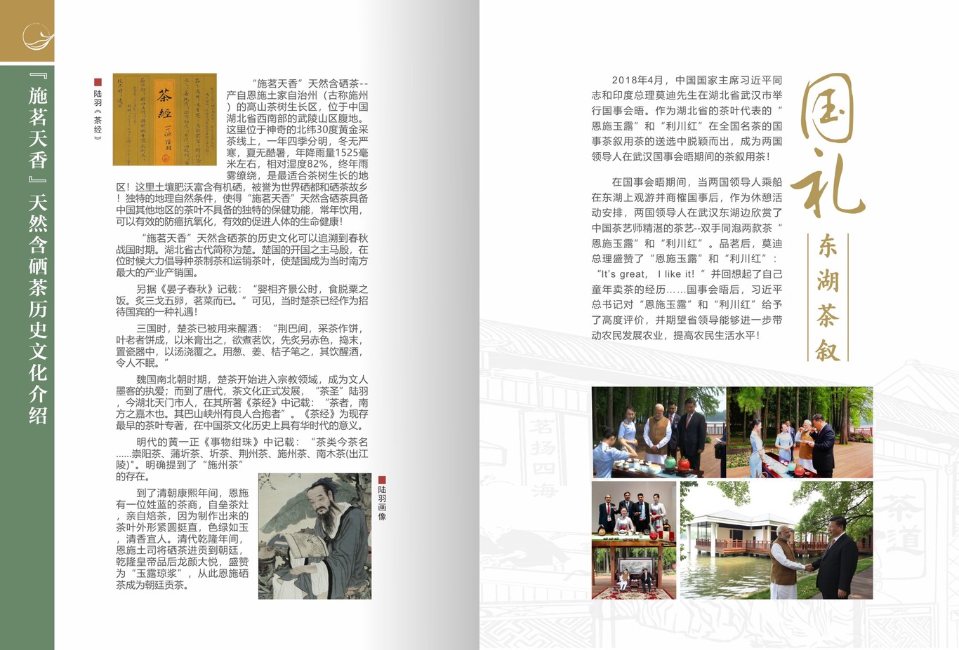 茶叶画册图3