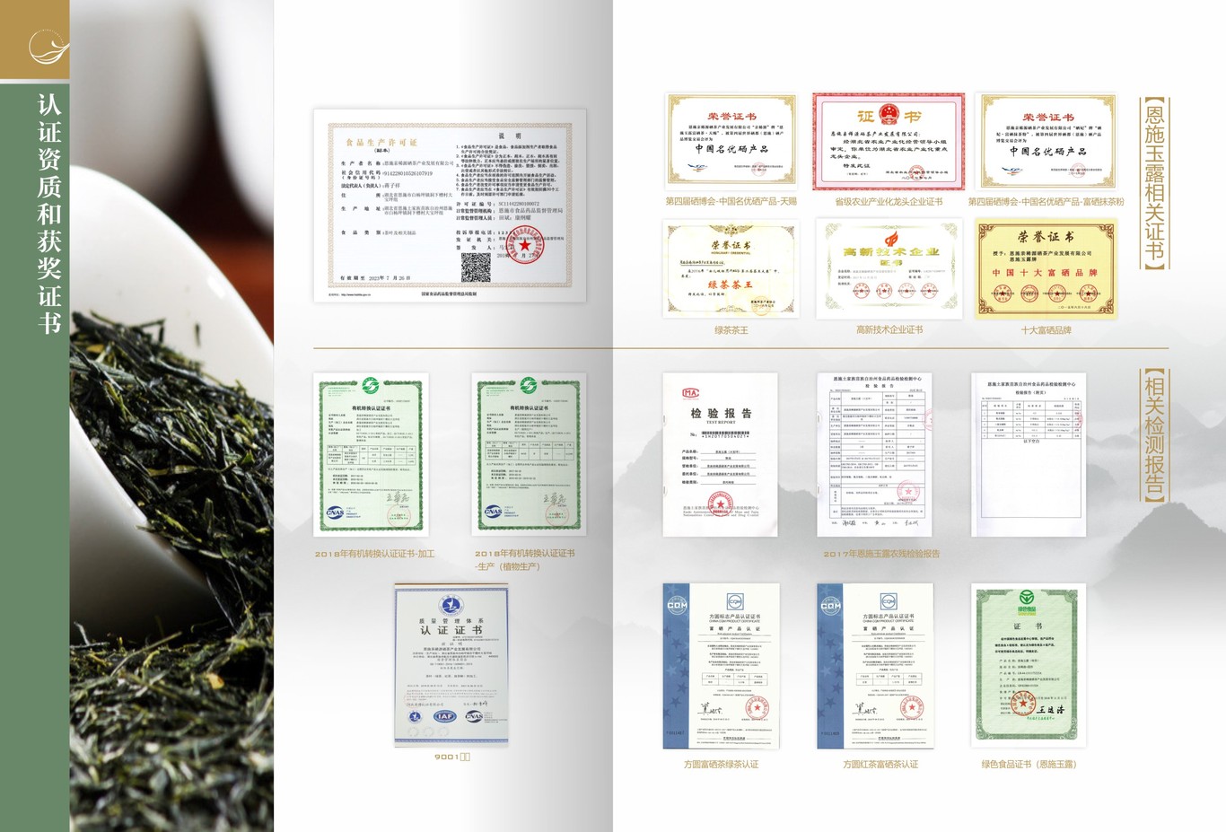 茶叶画册图15