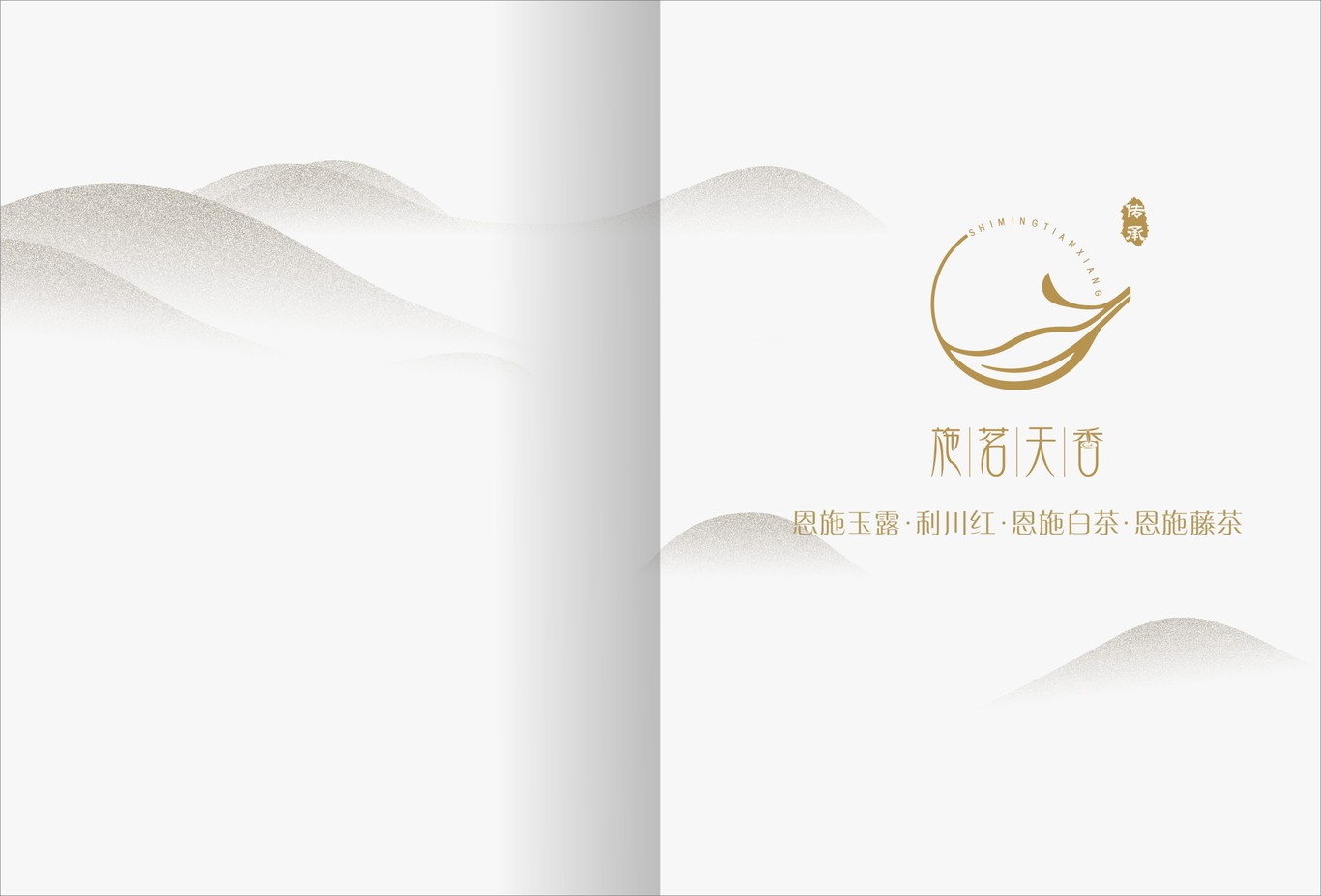 茶叶画册图1