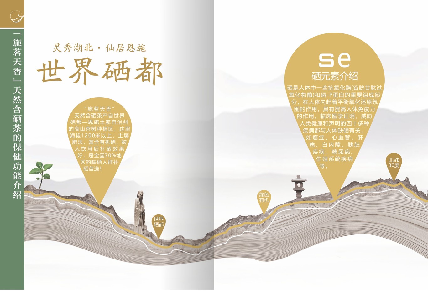 茶叶画册图4