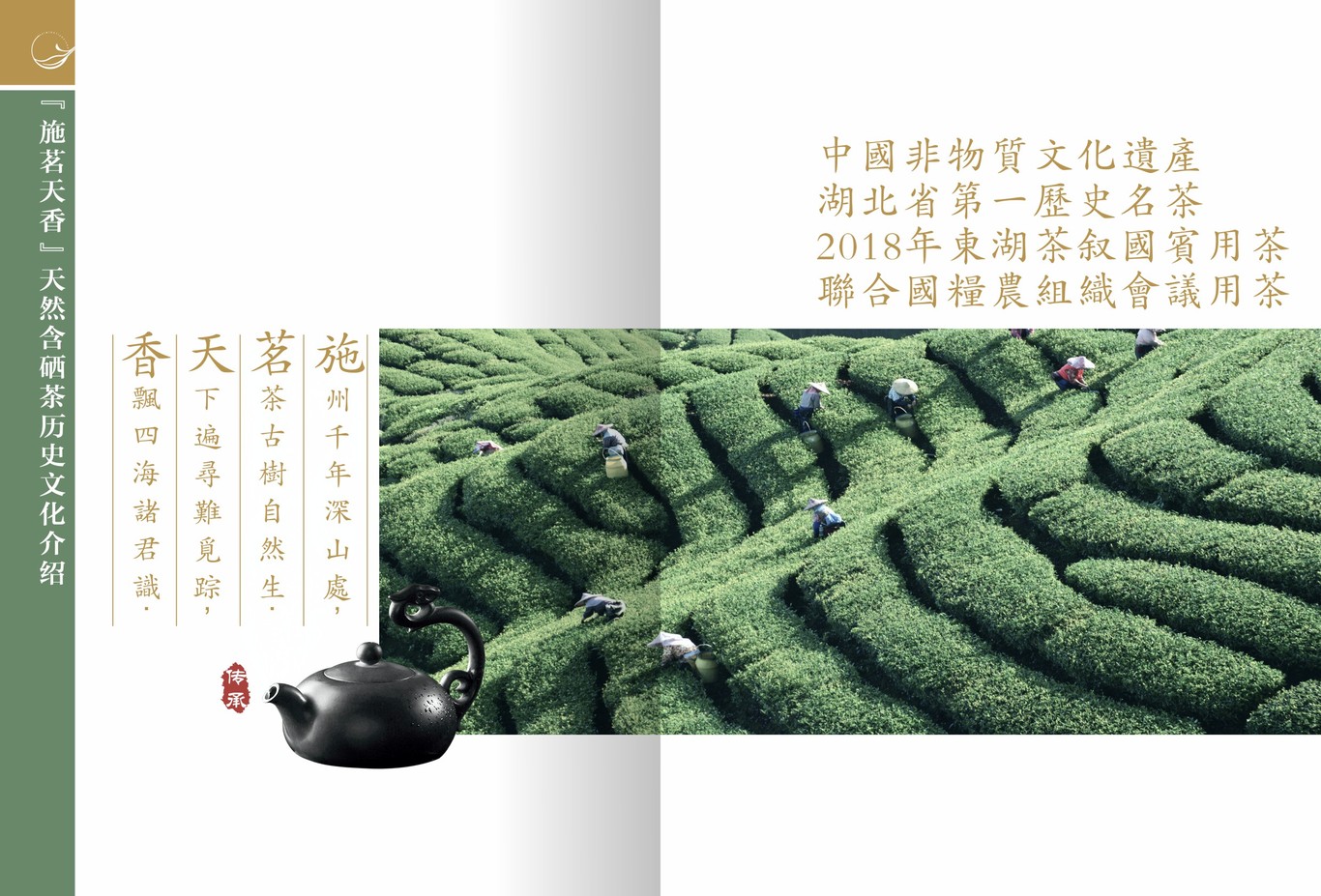 茶叶画册图2
