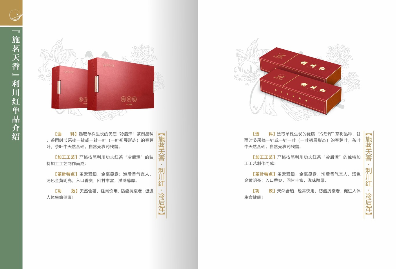 茶叶画册图10