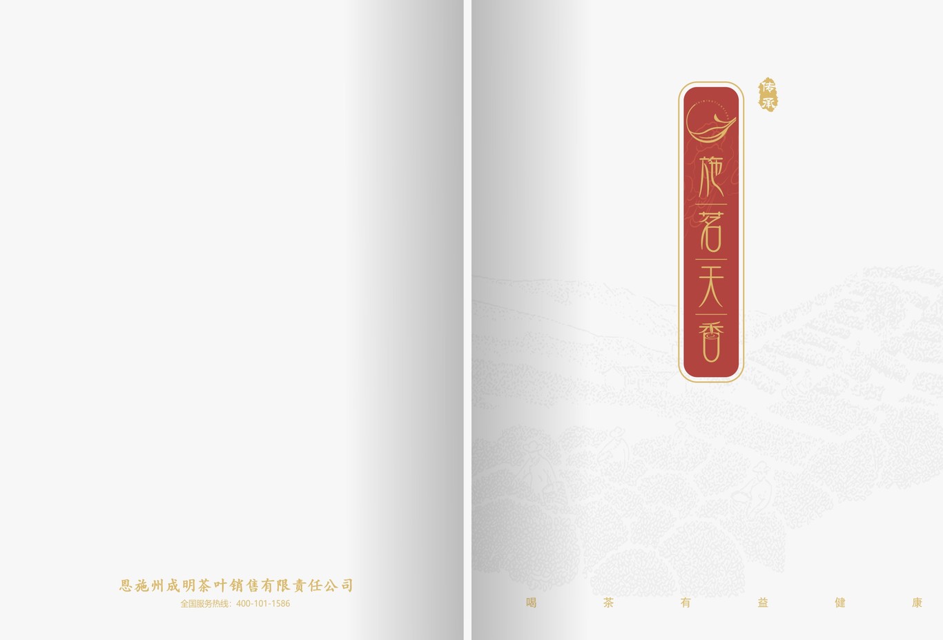 茶叶画册图0