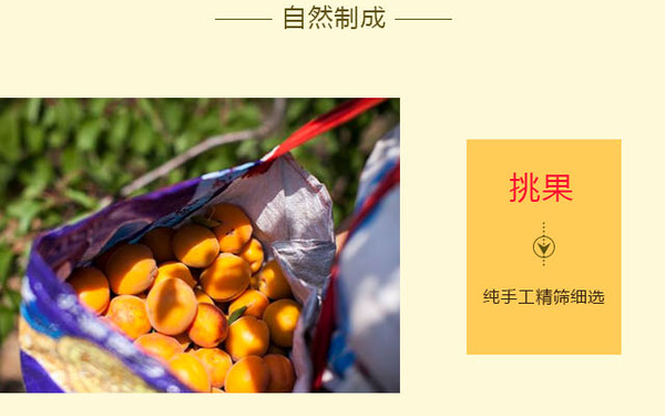 杏脯詳情頁(yè)