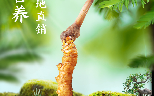 海报，详情页