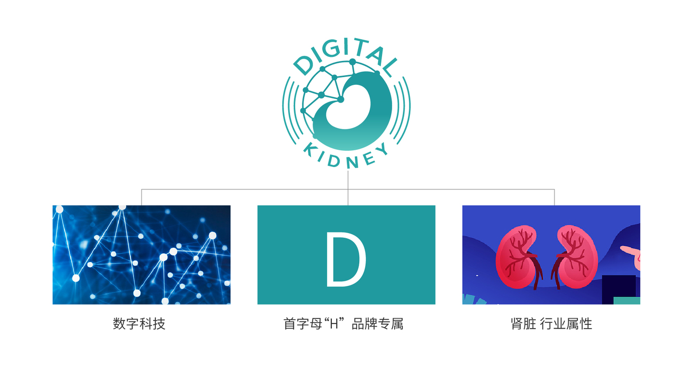 Digital Kidney醫(yī)療科技類LOGO設(shè)計中標(biāo)圖1