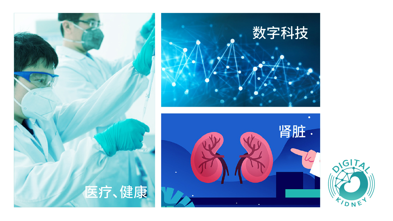 Digital Kidney醫(yī)療科技類(lèi)LOGO設(shè)計(jì)中標(biāo)圖0