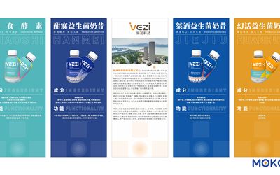 vezi+奶昔包装设计