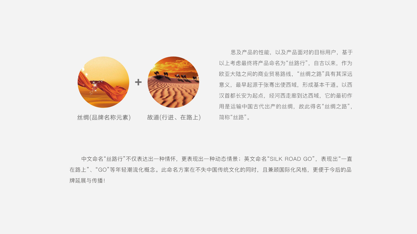 丝路行(移动数据卡)品牌形象设计图3