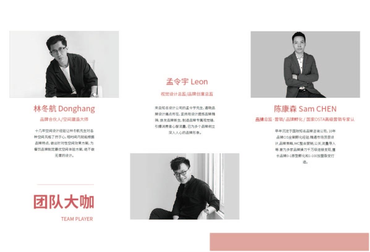 海报-画册-易拉宝-详情页-宣传册图10