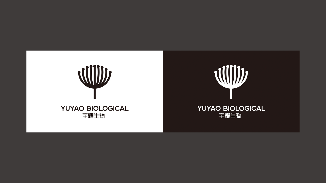 宇耀生物+品牌形象LOGO+日化圖5