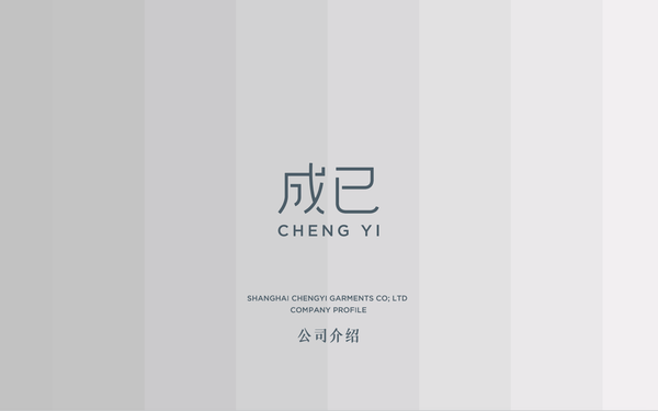 成已公司介绍