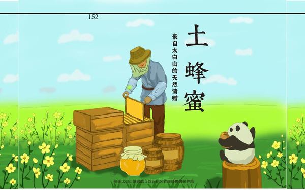 太白山土蜂蜜