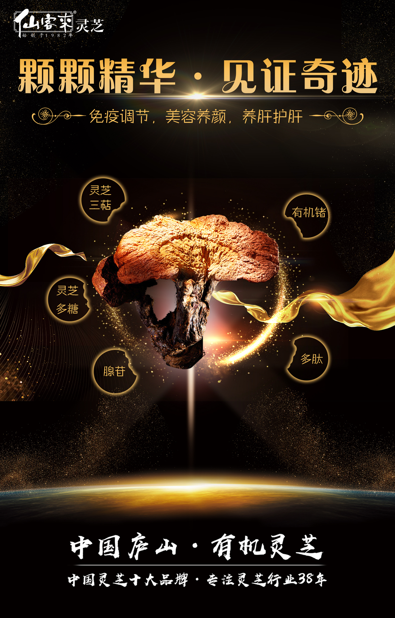 店内，推广图2