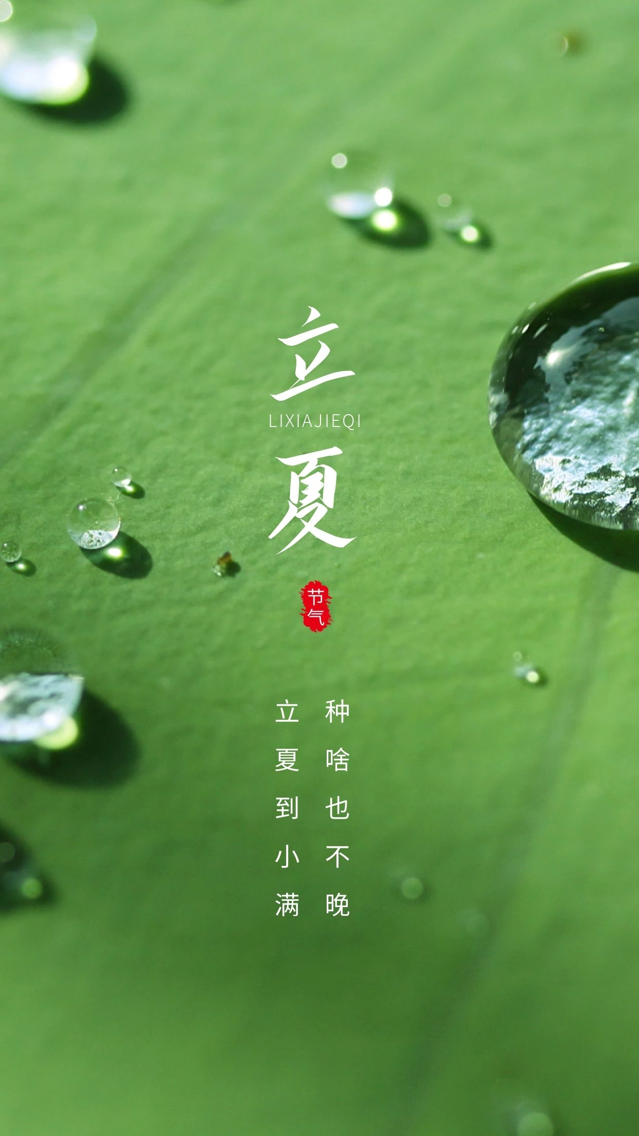 二十四節(jié)氣-立夏圖1