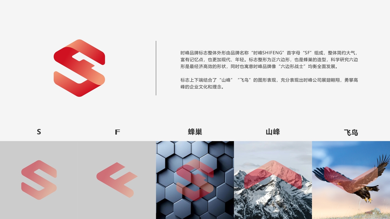 时峰科技互联网品牌LOGO设计中标图1