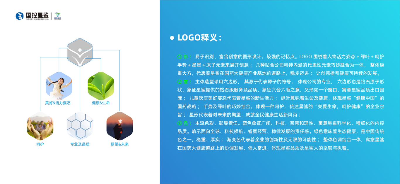 國控星鯊logo及70周年徽標(biāo)圖7