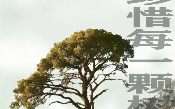 插画