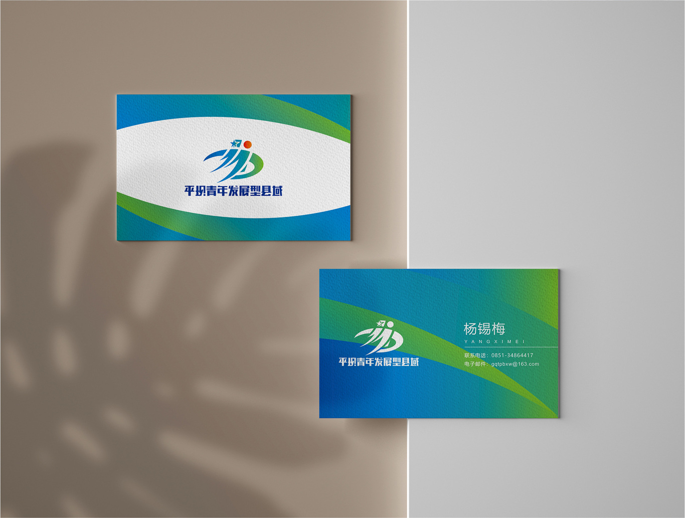 平壩青年發(fā)展型縣域LOGO形象圖7