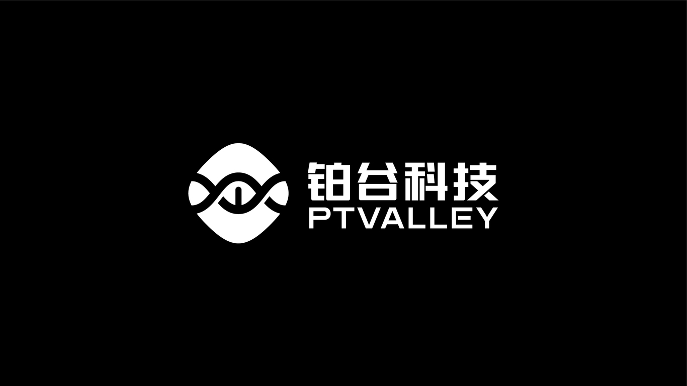 鉑谷科技類LOGO設計中標圖1