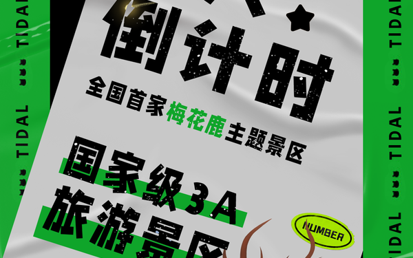 龙龙