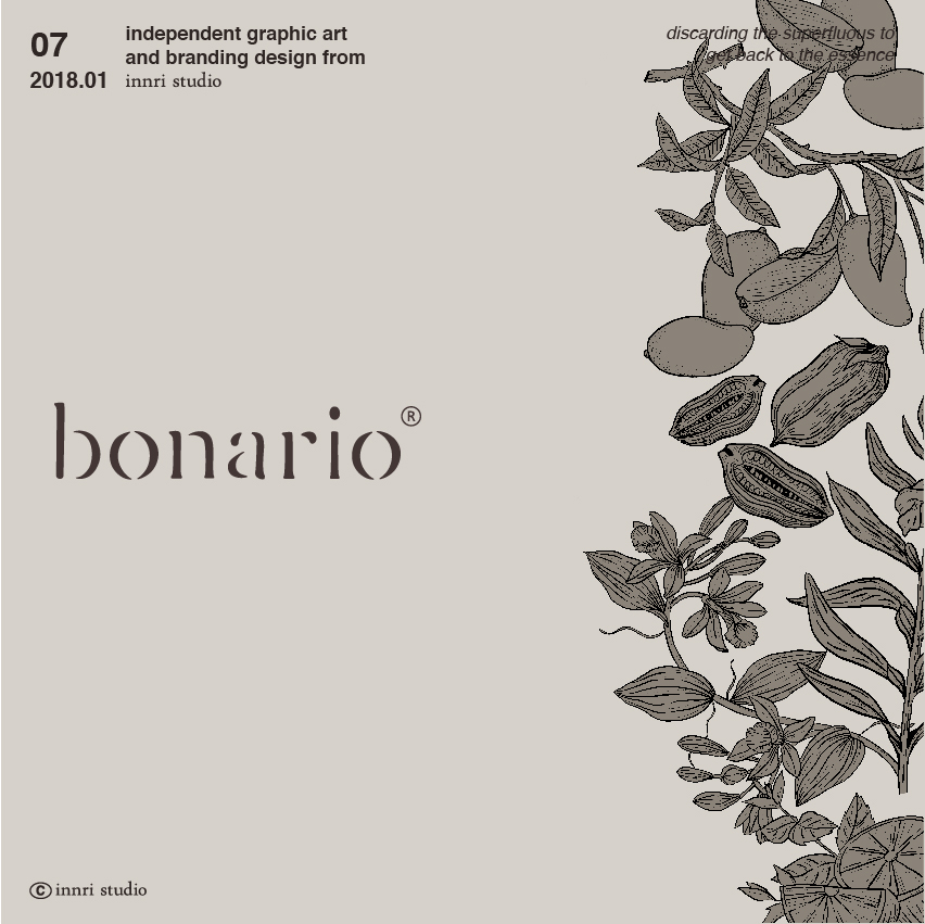 bonario圖2