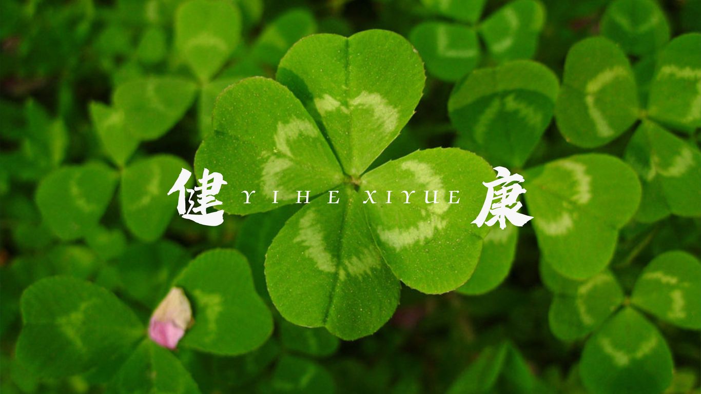 颐和熙悦VI视觉设计图1