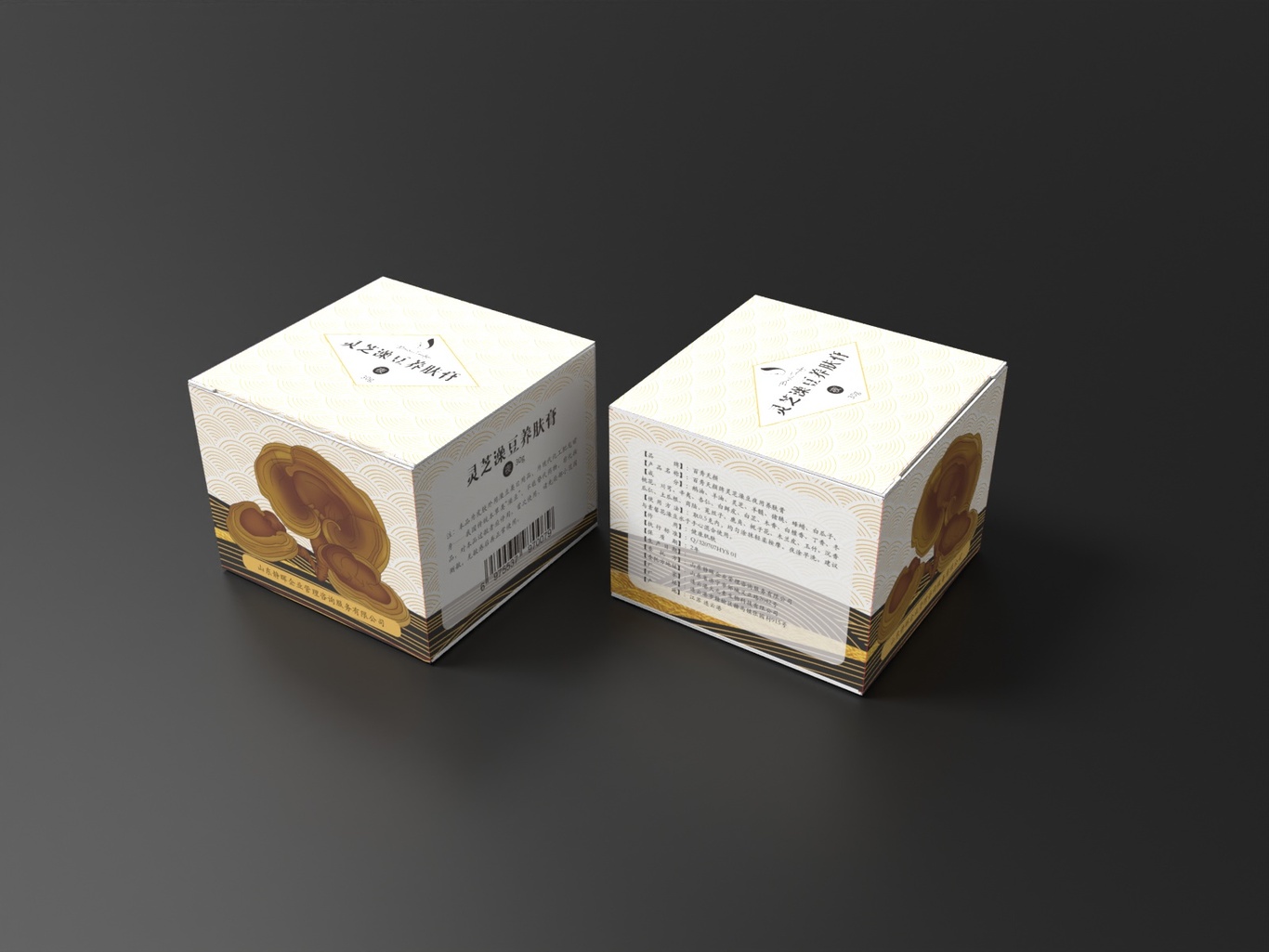 丽视堂&百秀天颜品牌系列设计图1