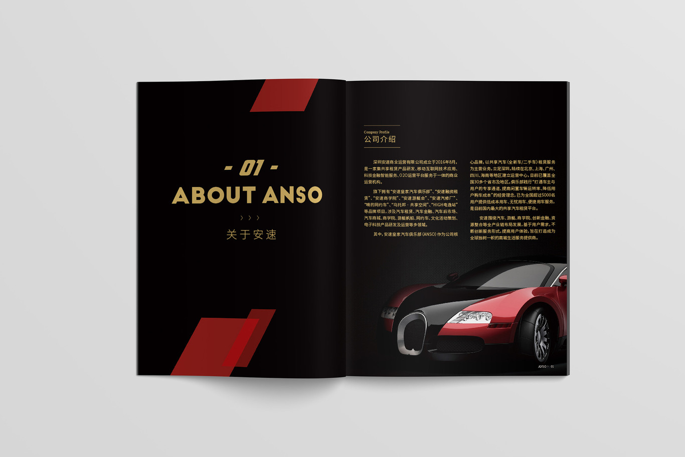 安速皇家汽車-招商畫冊圖2