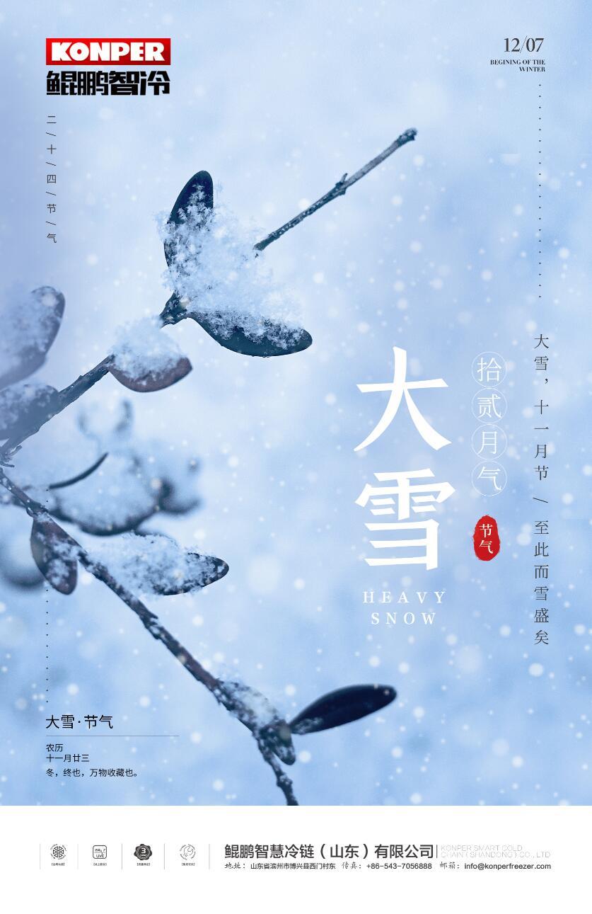 单页 海报图3