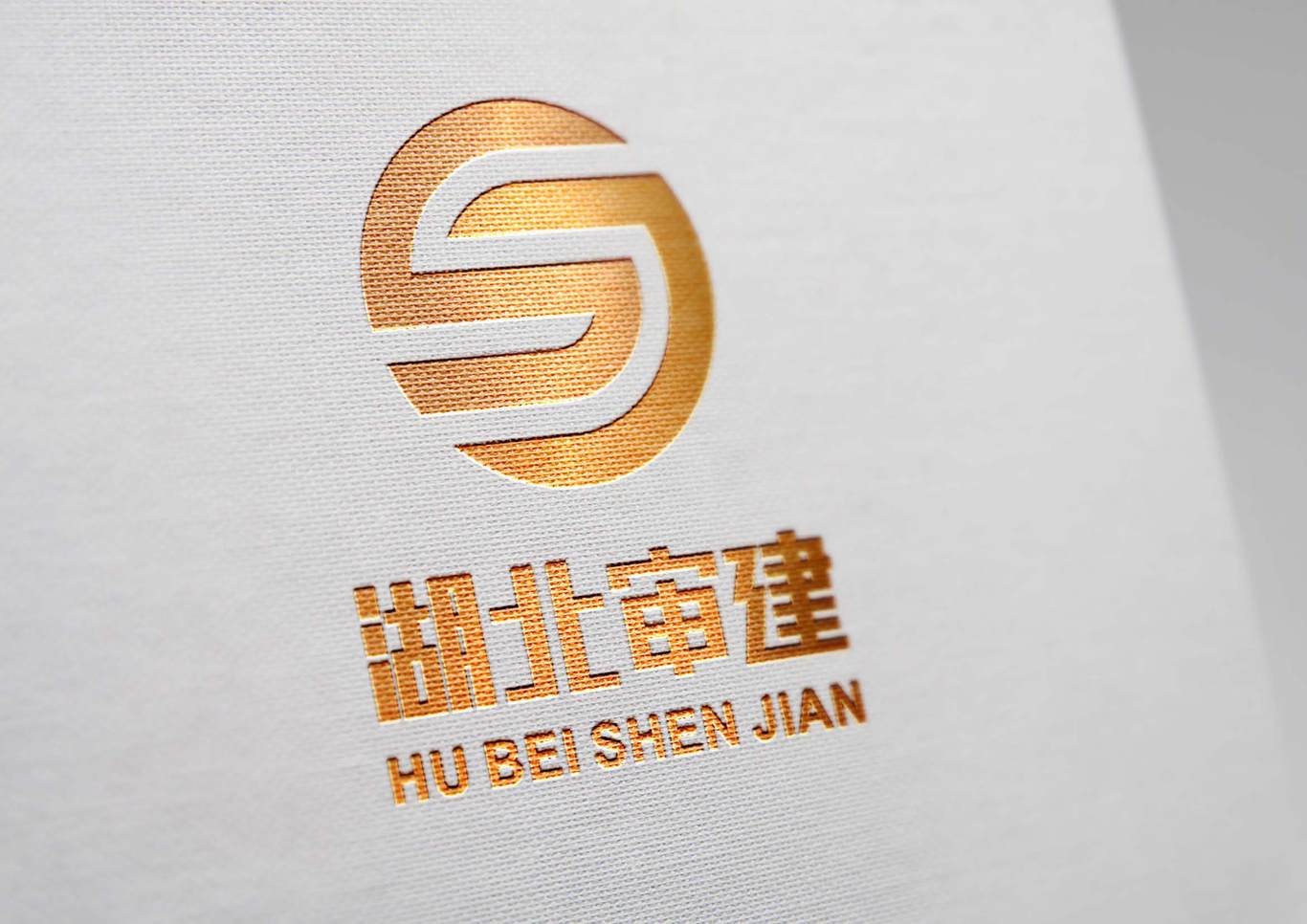 湖北審建項(xiàng)目管理有限公司LOGO設(shè)計(jì)方案圖6