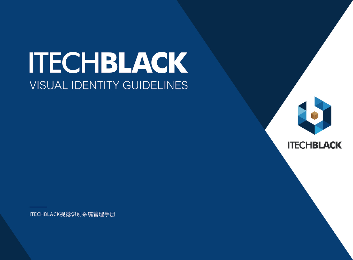 互聯(lián)網(wǎng)技術(shù)精英俱樂部ITechBlack 黑科技VI設計圖0