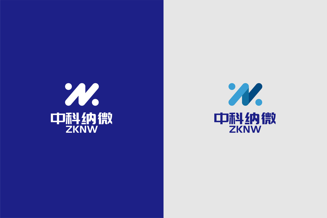 中科纳微图1