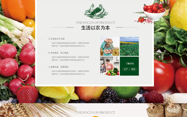 网站设计