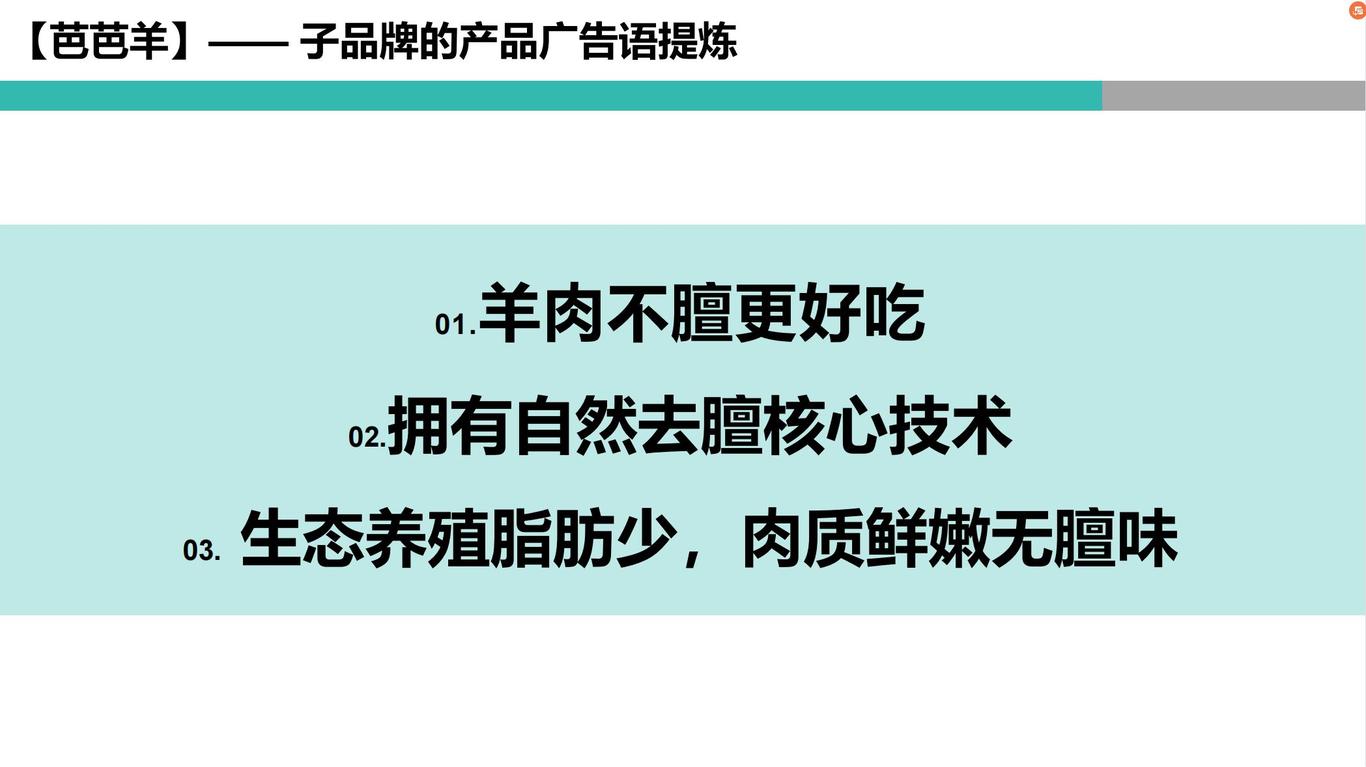 埃杜升定位設(shè)計(jì)方案圖11