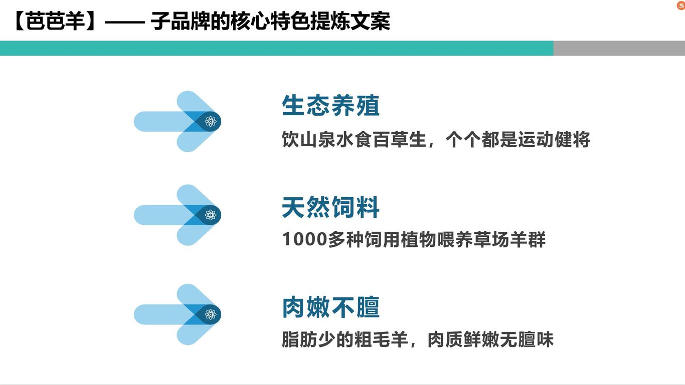 埃杜升定位設(shè)計(jì)方案圖10