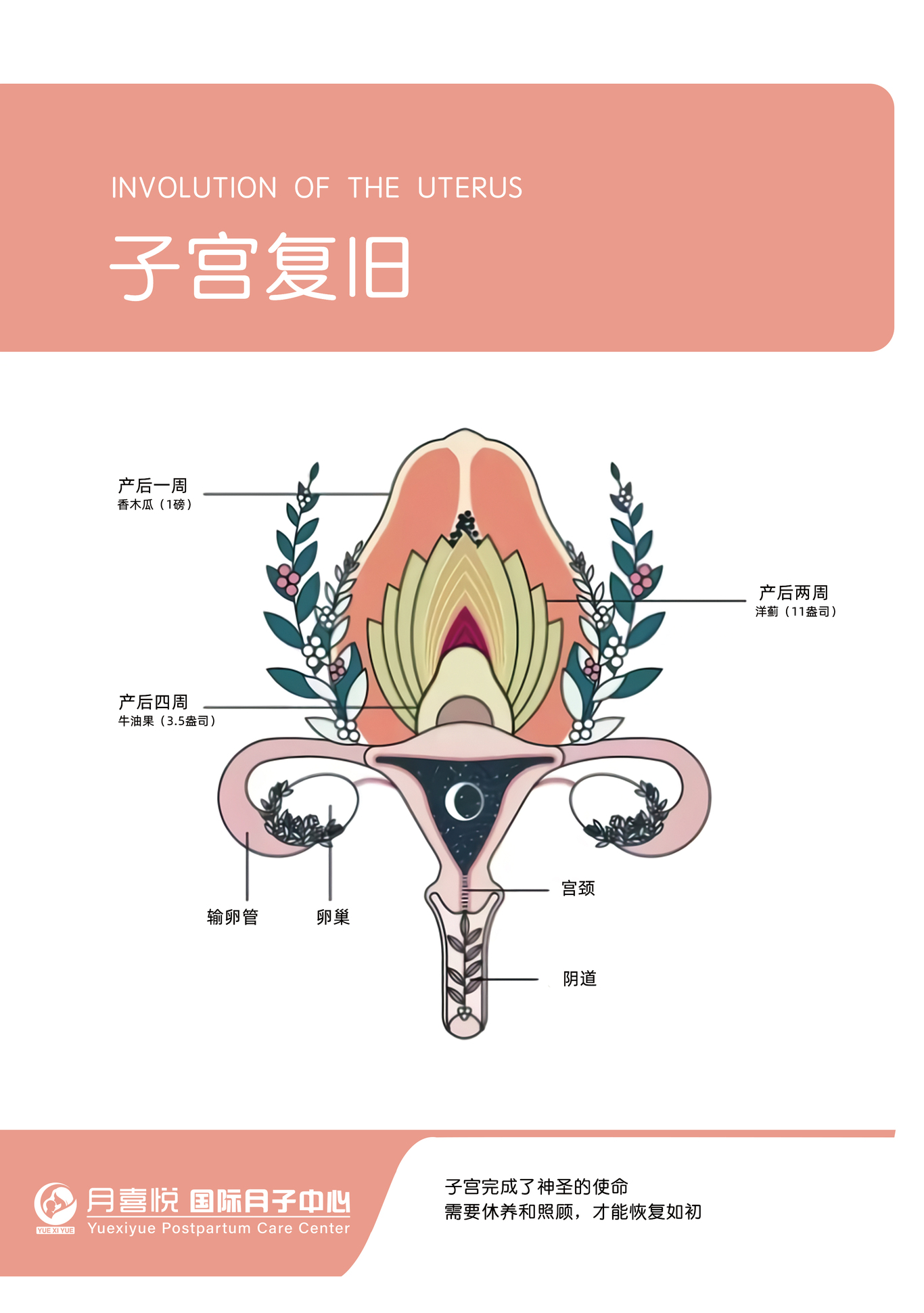 產婦恢復中心圖2