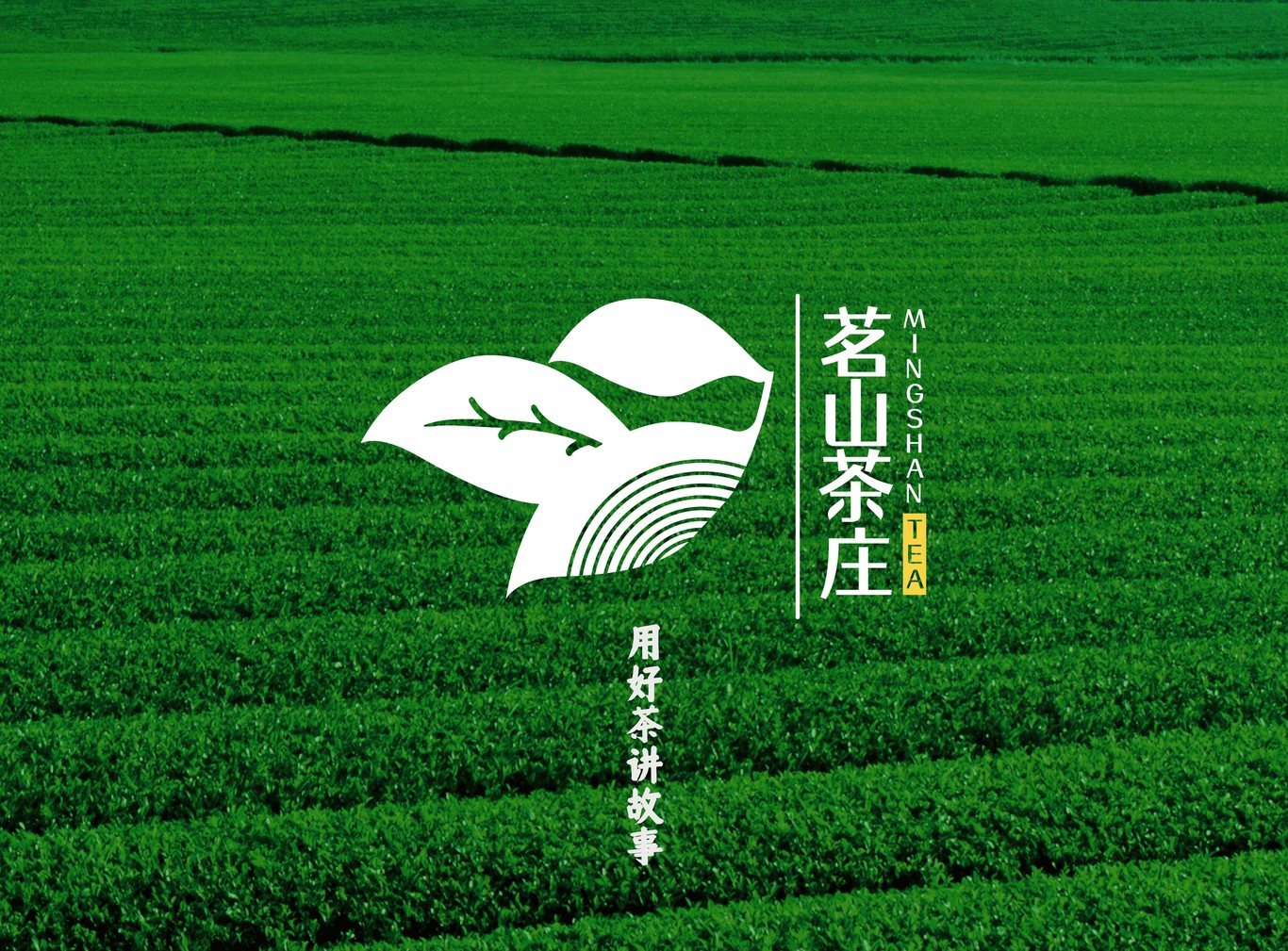 茶logo圖0