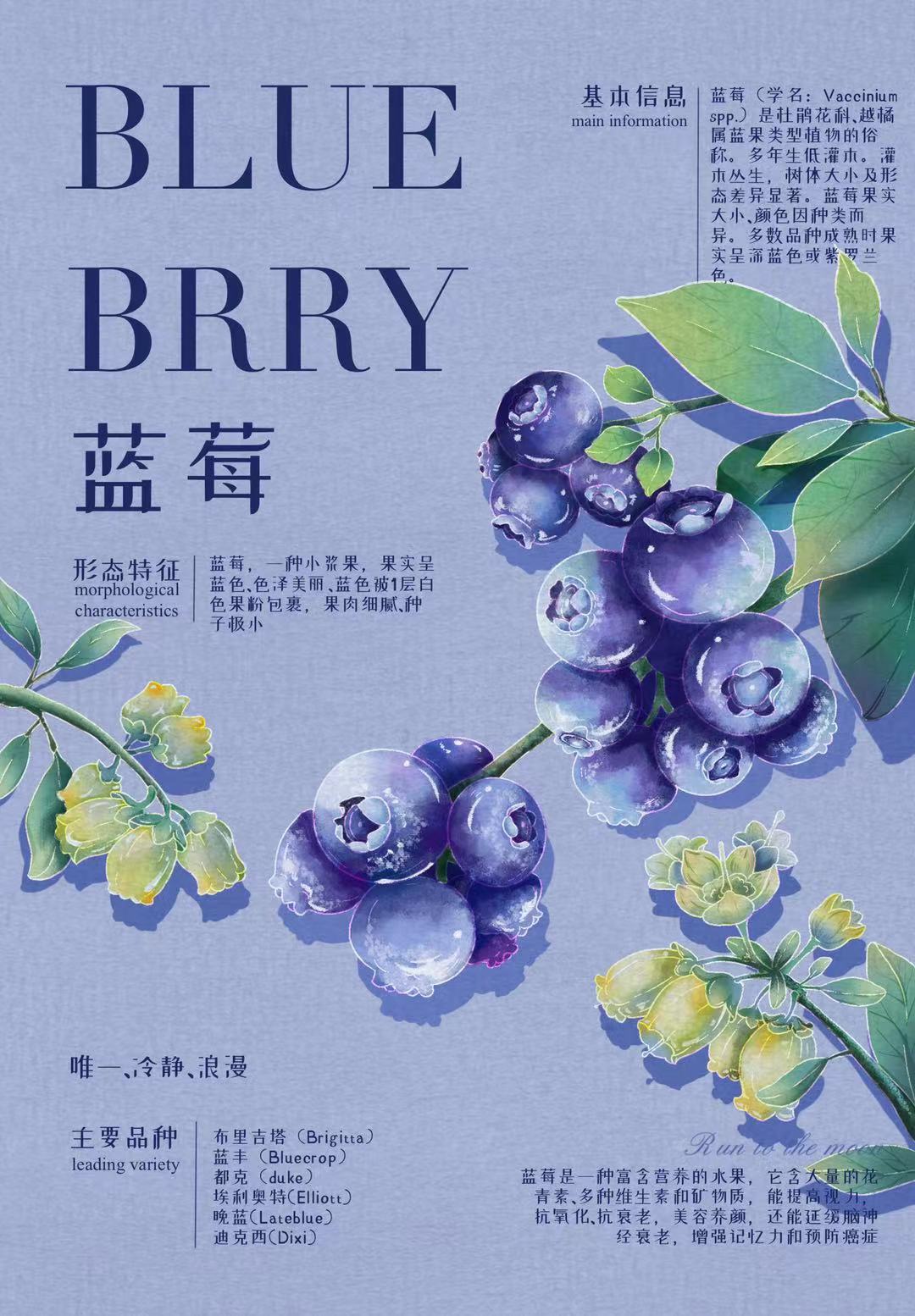 植物海报图0